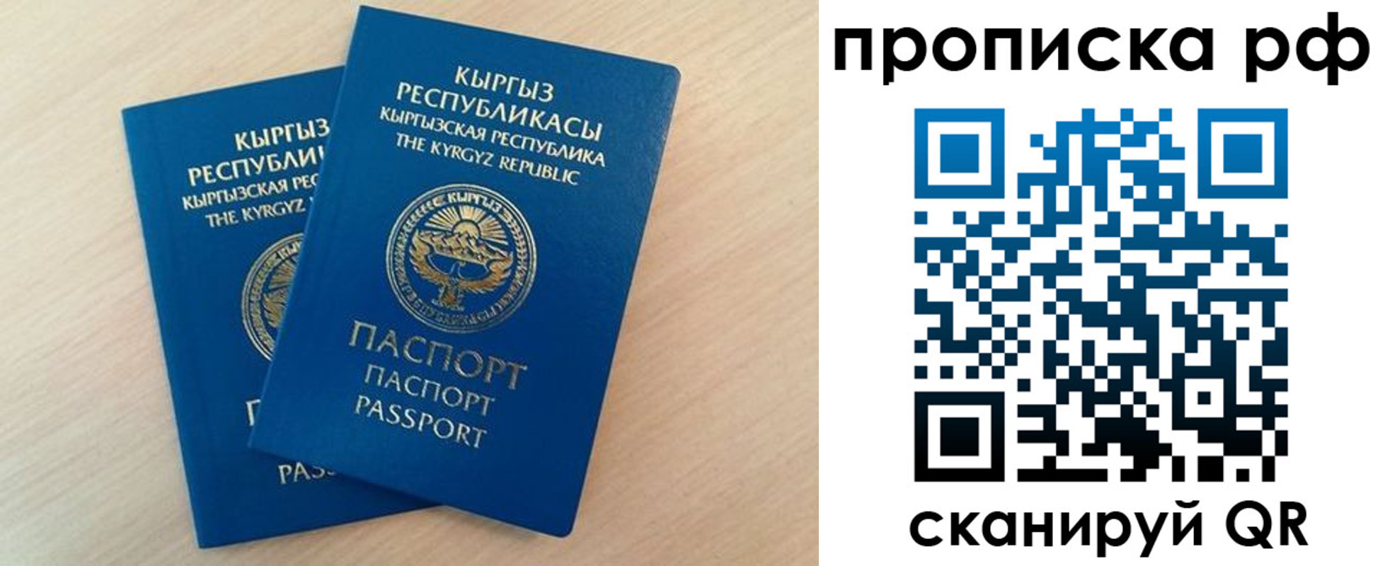 где прописаться в Волоколамске